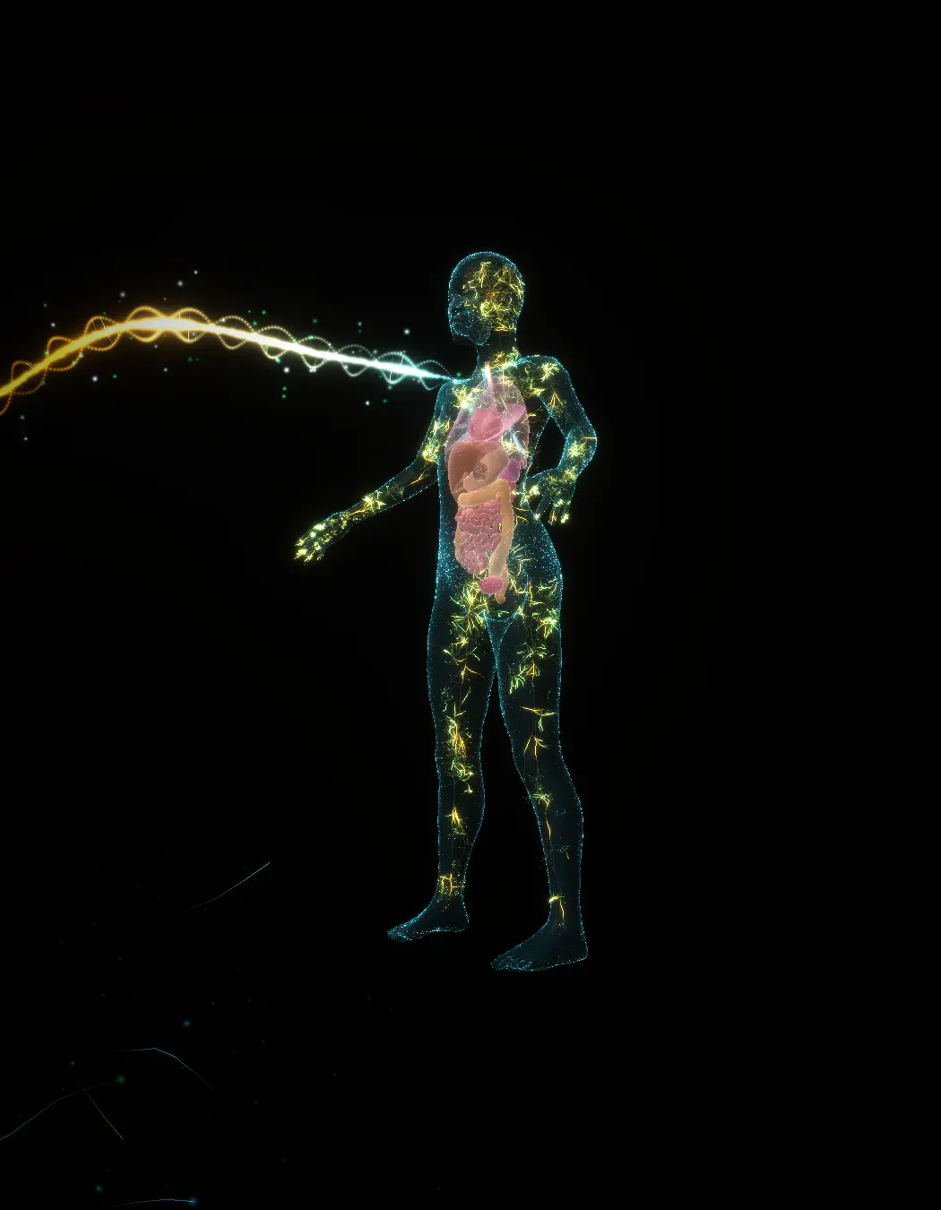 Standbild aus dem Soil-to-Human Atlas: Lichtfaden von der Pflanze zu einem leuchtenden 3D-Körpermodell